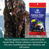 1.06 OZ EDEN FOODS Wakame Flakes