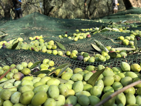 Laconiko 100% Extra Virgin Olive Oil Laconiko Ultra Premium Extra Virgin Olive Oil (Greek Seasoning)