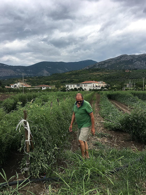 Broccoli Rabe Friarielli Preserved in EVOO - Maida Farm, Campania, Italy