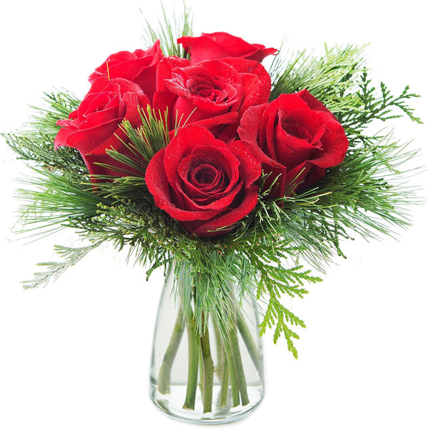 KaBloom - Merry Red Roses| Fresh For Delivery Prime with vase -