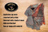 8oz Bronco Billy's Beef Jerky Sweet Heat Half Pound Jar - - New Jar Design