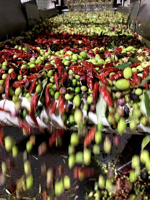 Greek Chili Pepper Infused Olive Oil