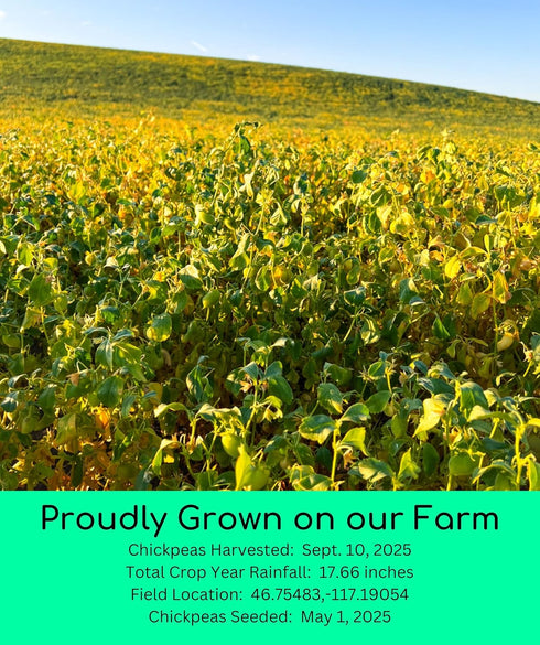 9 LBS 100% Palouse Brand Certified Glyphosate Residue Free Chickpea Flour | | Family Farmed in Washington State |