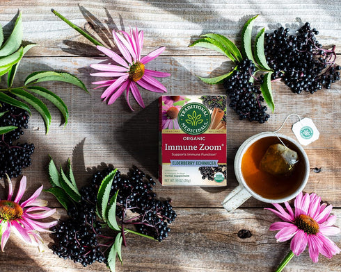 Immune Immune 16 Traditional Medicinals Tea, Organic Zoom Elderberry Echinacea - Supports Function - Kosher, Non-GMO