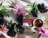Immune Immune 16 Traditional Medicinals Tea, Organic Zoom Elderberry Echinacea - Supports Function - Kosher, Non-GMO