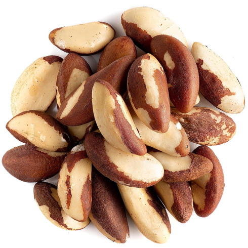 ALMA ZNICA 1 lb (16 oz) Raw Brazil Nuts Wild Harvested, Unsalted, Whole, High Selenium, Non-GMO, Single-Origin Bolivia