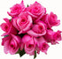 Flower Explosion 12 Stems - Fresh Cut Hot Pink Topaz Rose Bouquet from