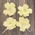 4 Count Global Sugar Art Dogwood Rose Sugar Cake Flowers, Yellow with Stamen, with Wire by Chef Alan Tetreault.
