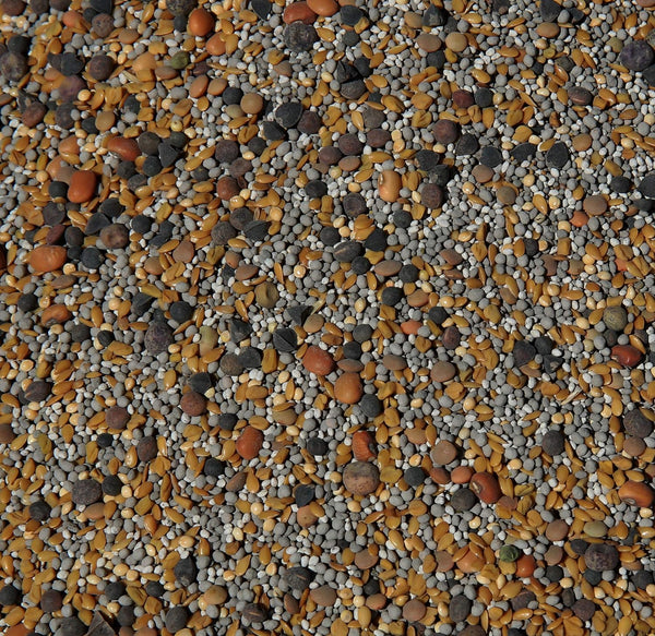No-Till Cover Crop 13-Seed Mix (1 lb. Bag): [50% Clovers Plus Fenugreek,