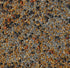No-Till Cover Crop 13-Seed Mix (1 lb. Bag): [50% Clovers Plus Fenugreek,