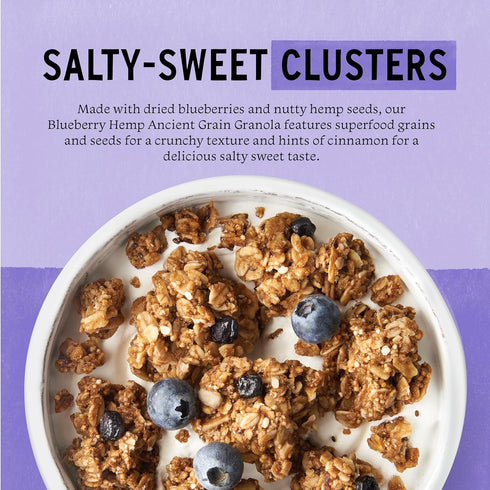 12oz (Pack 2) Purely Elizabeth Ancient Grain Granola Cereal Blueberry Hemp