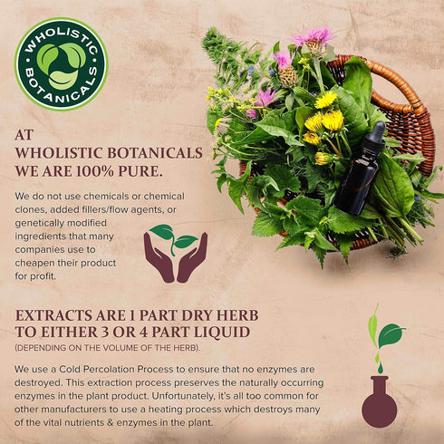 Wholistic Botanicals Organic Apple Cider Vinegar