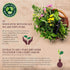 Wholistic Botanicals Organic Apple Cider Vinegar