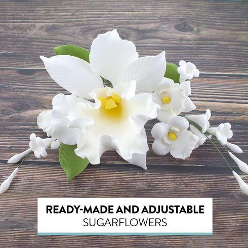 1 Count Global Sugar Art Cattleya Orchid Sugar Cake Flowers Arched Spray, White, by Chef Alan Tetreault