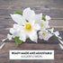 1 Count Global Sugar Art Cattleya Orchid Sugar Cake Flowers Arched Spray, White, by Chef Alan Tetreault