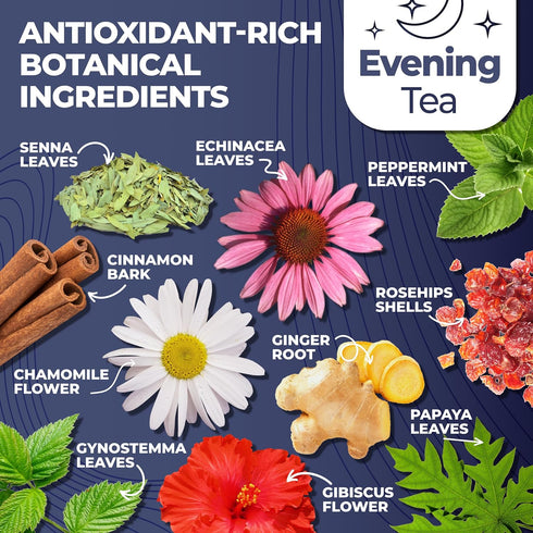 Set 25 Total Tea Detox Tea & Energy - Day Detox - Herbal SIim Tea with Chamomile - Hibiscus Tea and Ginger Root