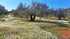Oro Bailen 99 Oro Bailn - Olive oil Bailn Galgn SL