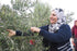 16.9oz SINDYANNA OF GALILEE Organic Extra Virgin Olive Oil, Cold Pressed Mediterranean Olive Oil Fair Trade, Non GMO