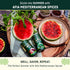 Set Set (Pack 3) Afia Mediterranean Pantry Spices Gift | Aleppo Pepper, Dried Mint & Sumac | Seasoning for Steak