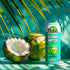 100% 10.8 oz (Pack 12) NILO Pure Coconut Water | NO Sugar added | GMO FREE | NOT from Concentrate |