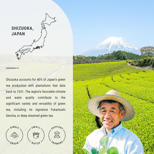 Senbird Premium Sencha, Japanese Green Tea from Shizuoka, Japan, Loose Leaf Tea in Airtight Tea Tin (3.5oz/100g)