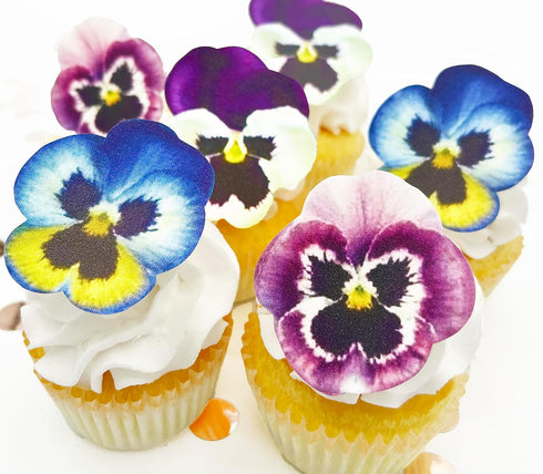 Sugar Robot - Edible Pansies for cake decorating - Small Size -