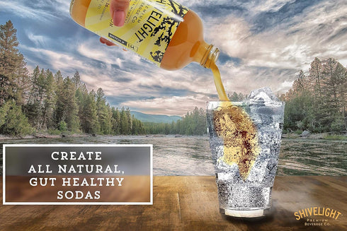 16 Ginger Honey Shrub - Shivelight Premium Beverage Company - All Natural, Small Batch, Montana Sourced Drinking