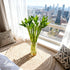 10 18 Set Lucky Bamboo Stalks Live Indoor Plant Perfect for Low-Light Spaces (Glass Container Not Included)