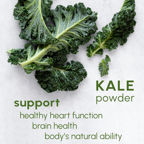 8oz Immune Kale Powder - for Cooking Salad Seasoning, Tea and Mix Drinks, Supports System, Rich in Vitamins