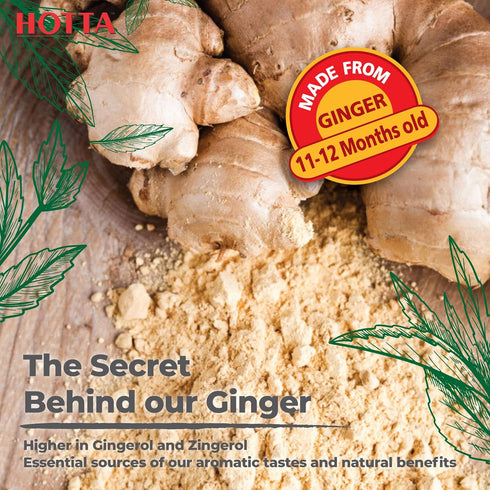 B1, B2 B6, 12 HOTTA Instant Ginger Drink with Manuka Honey, Naturally Sweet, Caffeine-Free Herbal Tea, High in Vitamin