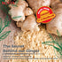 B1, B2 B6, 12 HOTTA Instant Ginger Drink with Manuka Honey, Naturally Sweet, Caffeine-Free Herbal Tea, High in Vitamin