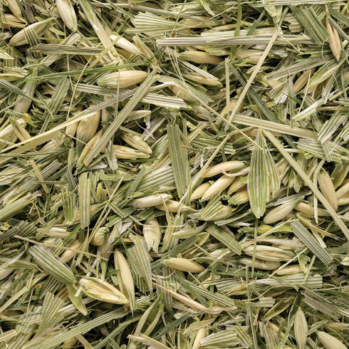 7.0 oz 99 Oatstraw, Organically Grown in Wisconsin | | Servings | Sacred Blossom Farm | Herbal Tea & Medicinal Herbs |