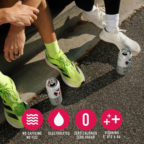 B6 B12, 16 Oz 12 Pack Yesly Functional Water, Black Cherry, Naturally Flavored Still Water with Electrolytes
