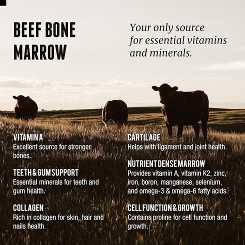 (200 Count) One Earth Health Grass Fed Beef Bone Marrow Supplement Bone, Cartilage and Marrow. New Zealand Sourced.