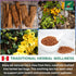 25 Hanan Cats Claw Tea Ua de Gato Herbal Teabags Wild Una de Gato Tree Bark Herb From Perus Amazon Lush of Peru