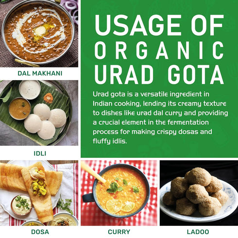 2 LB Jiva Organic Urad Gota Bag (Whole Urid White) - Vegan, Non GMO