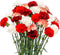 FlowerPrime 50 Christmas Carnations - Fresh Natural Cut Flowers Special Holiday Variety