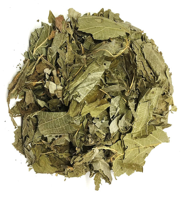 CIK Naturals Matico Tea Herbal - Hierba Matico Value Pack (90g) Piper aduncum Herb