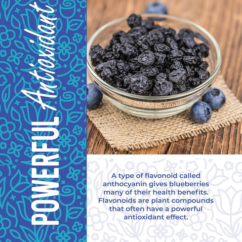 1 16 oz. Herbaila Whole Dried Blueberries, No Sugar Added, Bulk, Dehydrated, Dried Unsweetened Blueberries, All