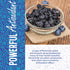 1 16 oz. Herbaila Whole Dried Blueberries, No Sugar Added, Bulk, Dehydrated, Dried Unsweetened Blueberries, All