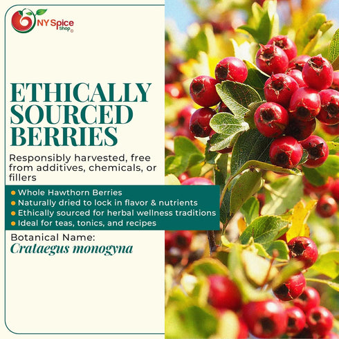 3 NY Spice Shop Dried Hawthorn Berries - Pound Fresh Hawthorn Berry - Wild Harvested Hawthorn Berries Whole - Whole