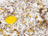 Sweet Stirs Pack 10 Original Flavored American Honey Spoons on Wooden Sticks Gift of (Lemon)