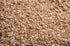 5 Burl Barley Granola, Honey Granola, Whole Grain Barley Cereal, Delicious Granola for Yogurt Parfaits, Bulk Pound Bag