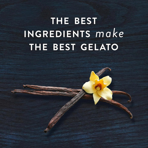 talenti Frozen 1 Gelato For a Delicious Dessert Madagascan Vanilla Bean Made with Ingredients pint