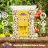W180 28oz (800g) Rani Raw Cashews Whole Extra Large (uncooked, unsalted) ~ All Natural, No Preservatives | Vegan |