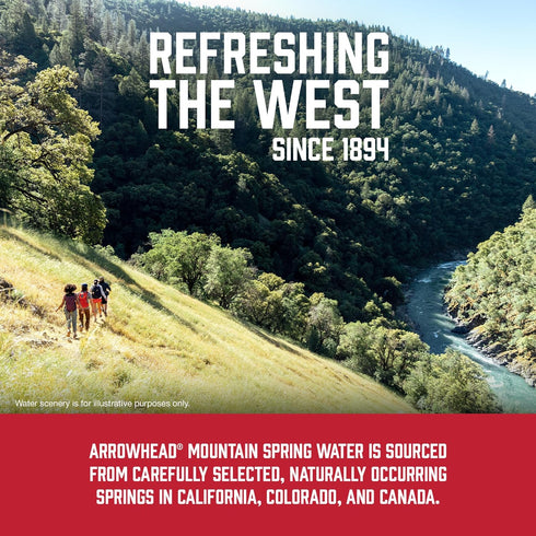23.7 Oz Arrowhead Mountain Spring Water Bottles - Still Bottled Water with Naturally Occurring Minerals for Taste - Fl