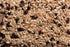 3 Pack 1lb Burl Barley Granola, Cranberry Granola, of Bags, Whole Grain Barley Cereal, Granola with Dried Cranberries