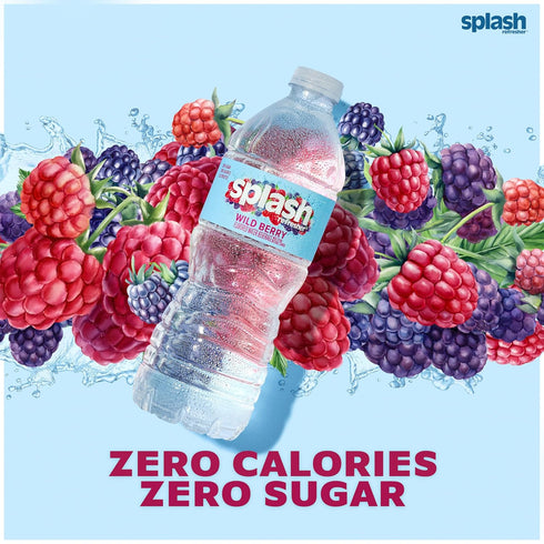16.9 Oz (24 Count) SPLASH REFRESHER Wild Berry Flavor Water Beverage, Fl Plastic Bottles
