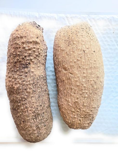 Generic 7-8lb 2 New Fresh Ghana Yam, Large Tubers