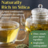 Horsetail Equisetum 8 oz Tea - Cut & Sifted Horse Tail Grass Herb - Cola de Caballo Hierba - Dried Artvense Plant
